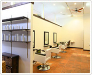 SalonPicture1